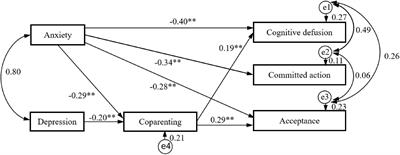 Coparenting Alleviated the Effect of Psychological Distress on Parental Psychological Flexibility